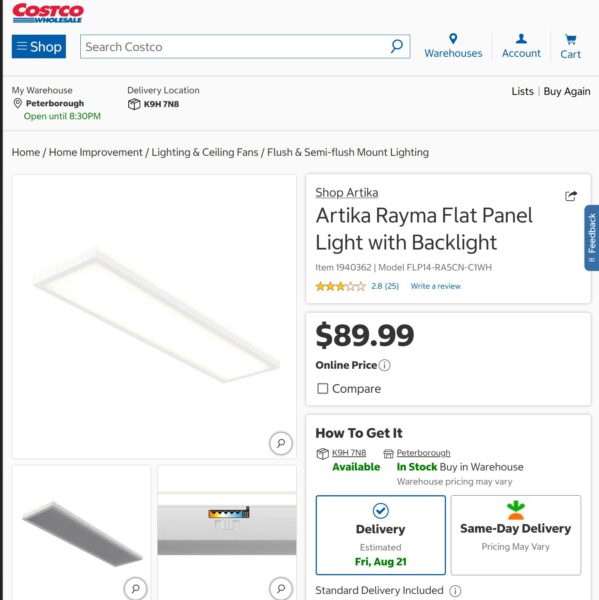 LED Panel Light, 2' x 4', used, working.